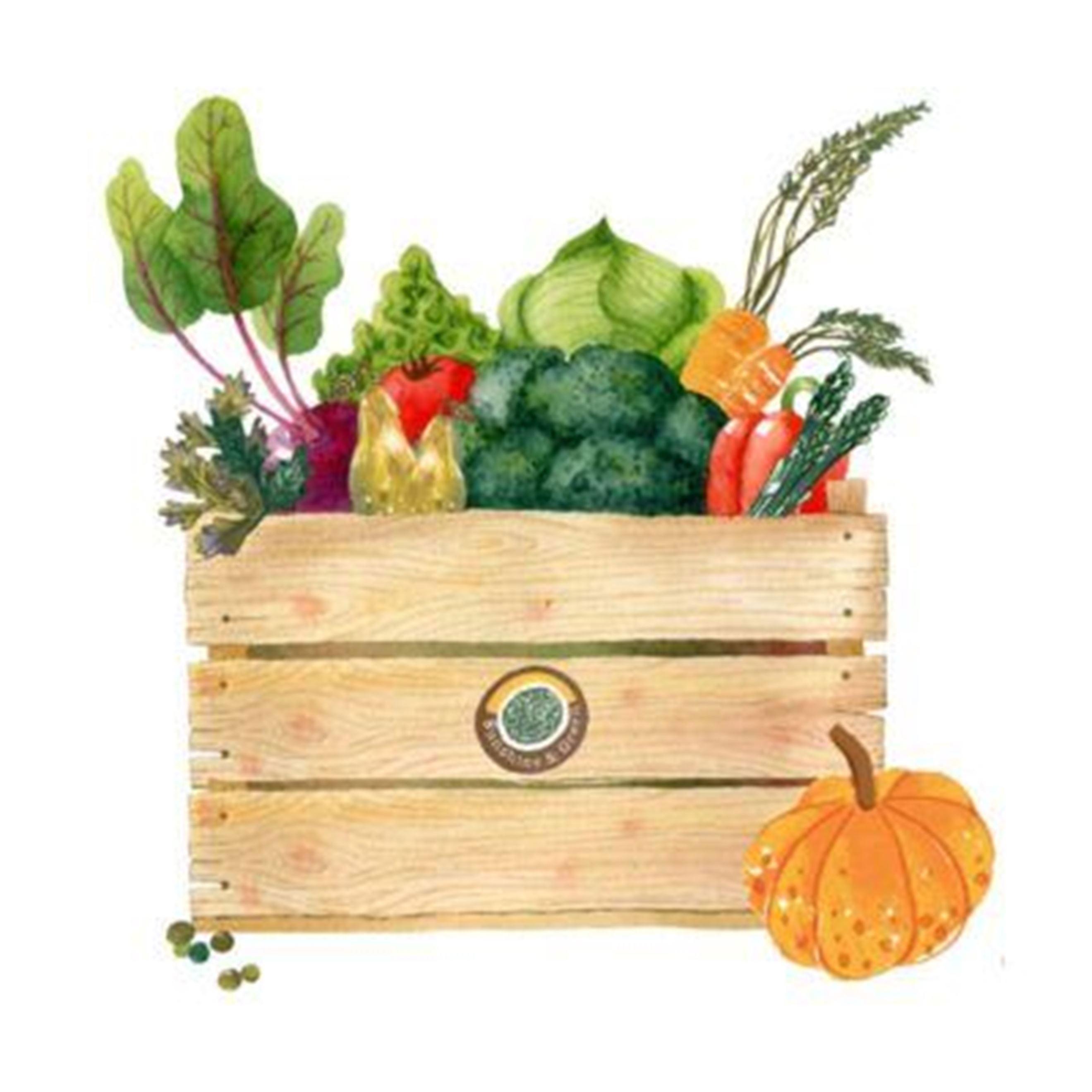 Large Veggie Box