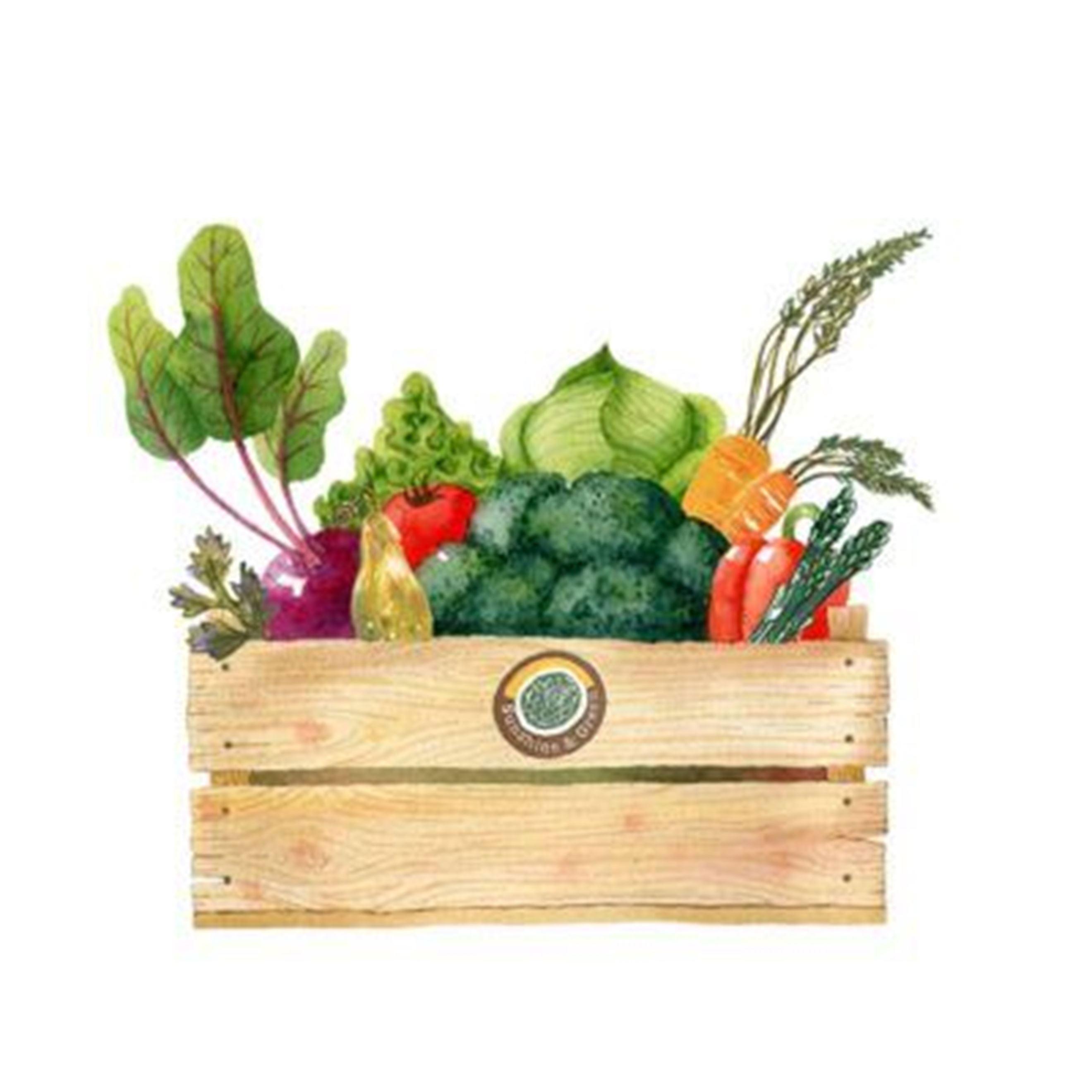 Standard Veggie Box